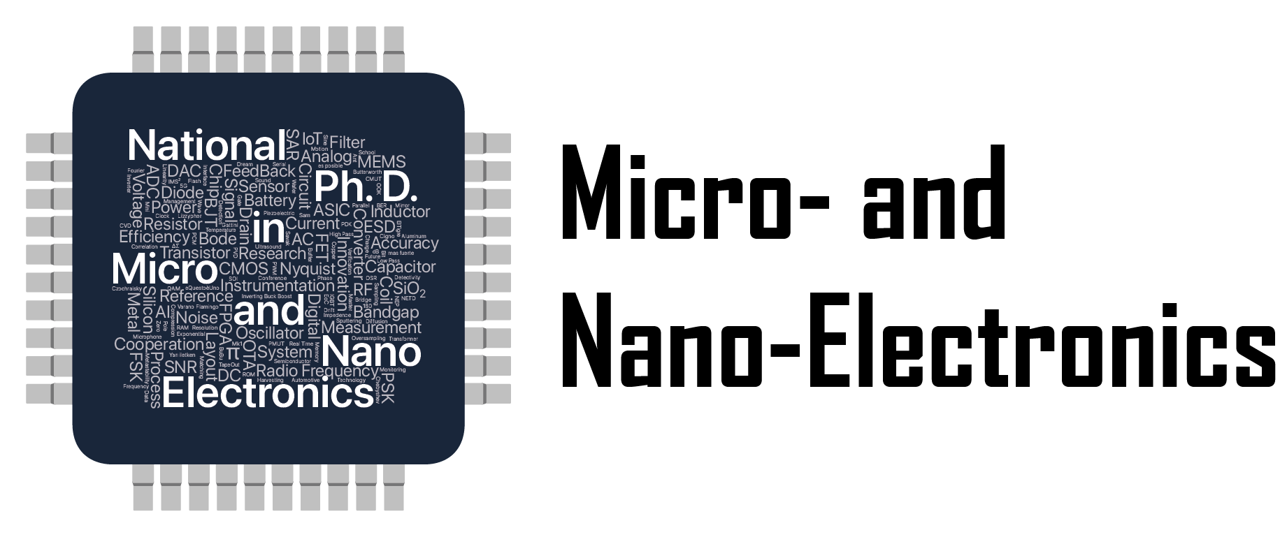 Italian National Ph. D. Program in Micro- and Nano-Electronics